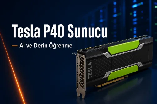 NVIDIA Tesla P40 Sunucu Kira...